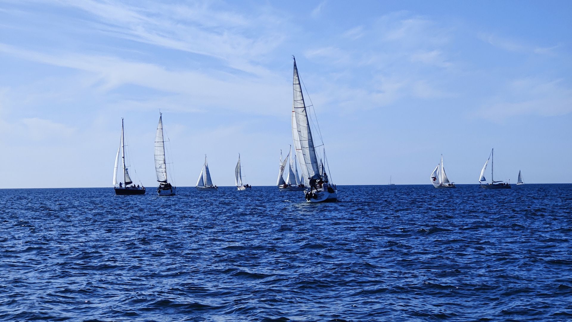 Read more about the article Erfolgreiche 32. Hessenregatta 2025 – Wind, Wellen und Wir-Gefühl